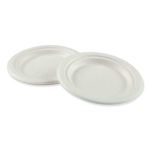 Bagasse Dinnerware, Plate, 6