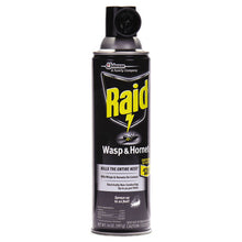 Load image into Gallery viewer, Wasp And Hornet Killer, 14 Oz Aerosol
