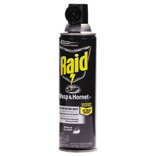 Load image into Gallery viewer, Wasp And Hornet Killer, 14 Oz Aerosol
